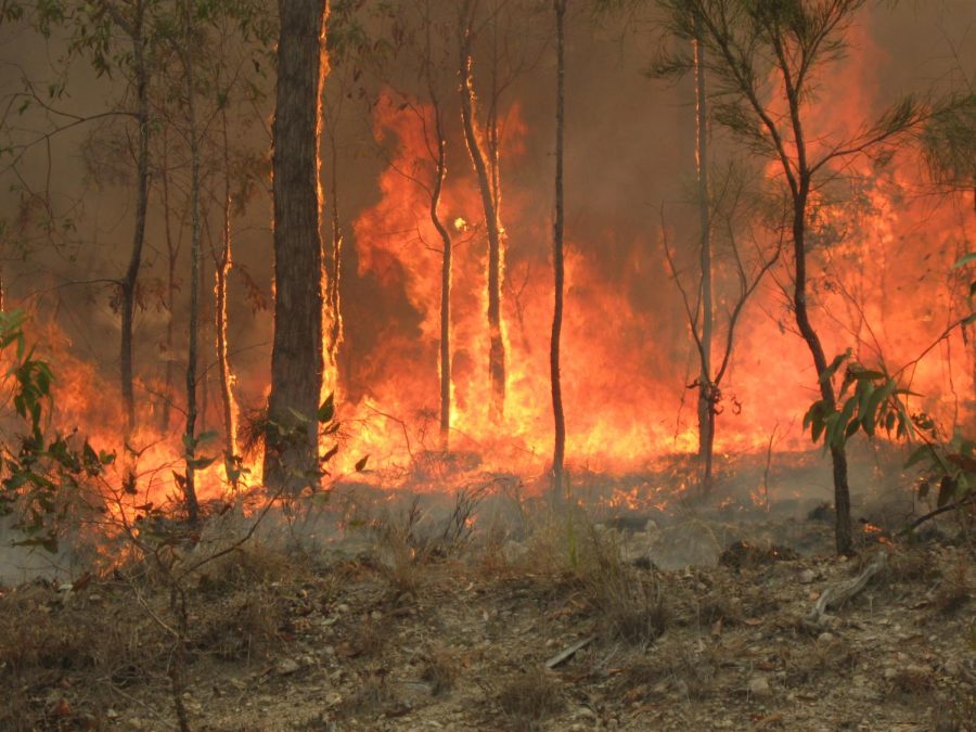 Fires continue to spread throughout Queensland, Australia 