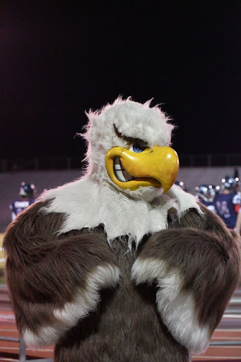 The DRHS eagle mascot cheers for the team.