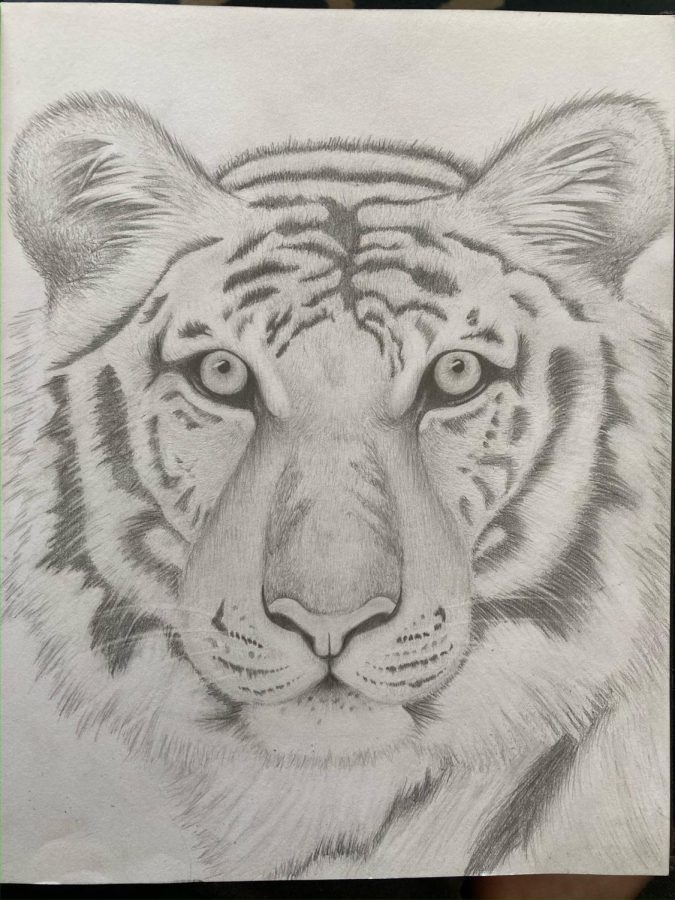 “I enjoy drawing -- I haven’t been as much lately. I also like reading and stuff, but also playing soccer,” Maegan Smay (10) said. Smay shared an image of a tiger that she finished in February. 