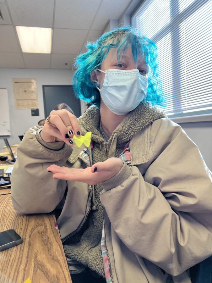 “I like to do things that are in my control if I feel out of control. I like to dye my hair a lot or I find a new hobby that I like, like… arts and crafts,” Quinn Schroeder (10) said. She recently got into origami as a hobby. 