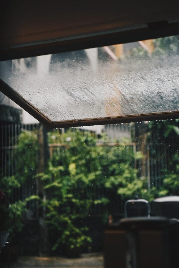 “When the sun is still shining but it’s raining, and the pavement is still hot so it warms off the rain puddles, and walking in the rain is not cold like it usually is. I was born in the rainy season, so I’ve always loved the rain, but warm rain is top-tier.”  Ashlee Espinoza (12). 