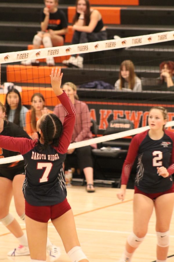 Izabella Kith (11) getting ready to spike the ball.