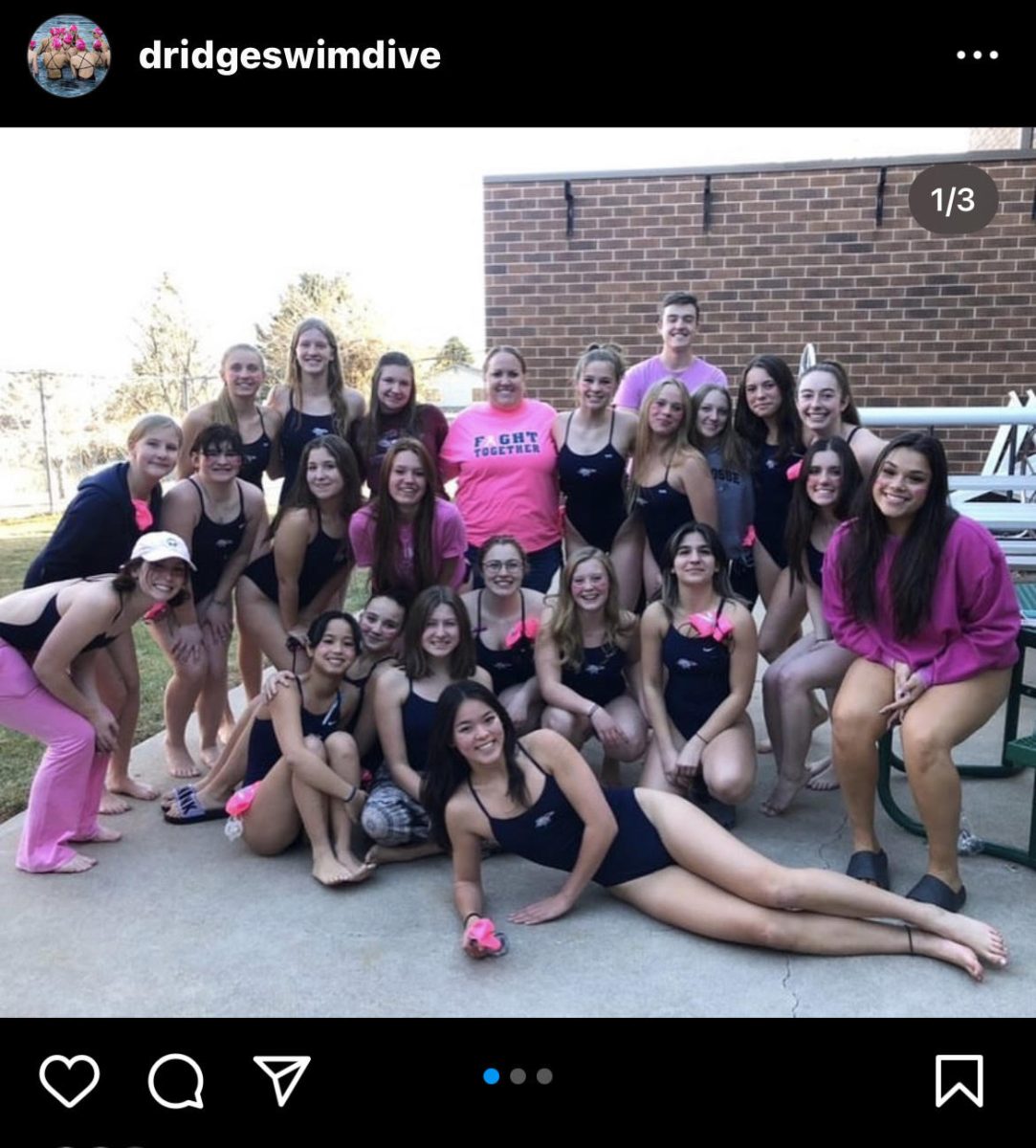 DRHS+swim+team+poses+for+the+Think+Pink+game+in+2022.+Think+Pink+games+are+held+for+every+sport+in+order+to+raise+awareness+for+cancer.
