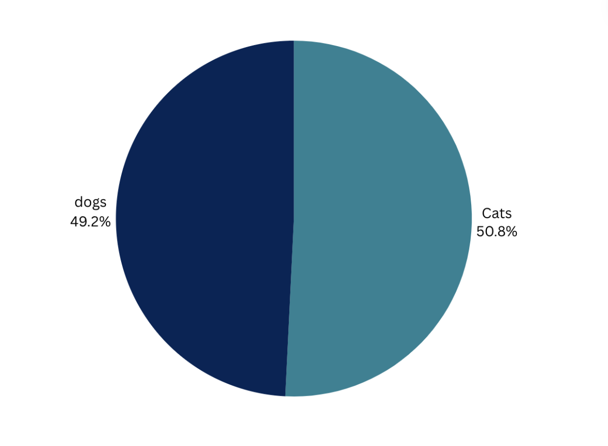 Statistics of animals in shelters as of 2023.