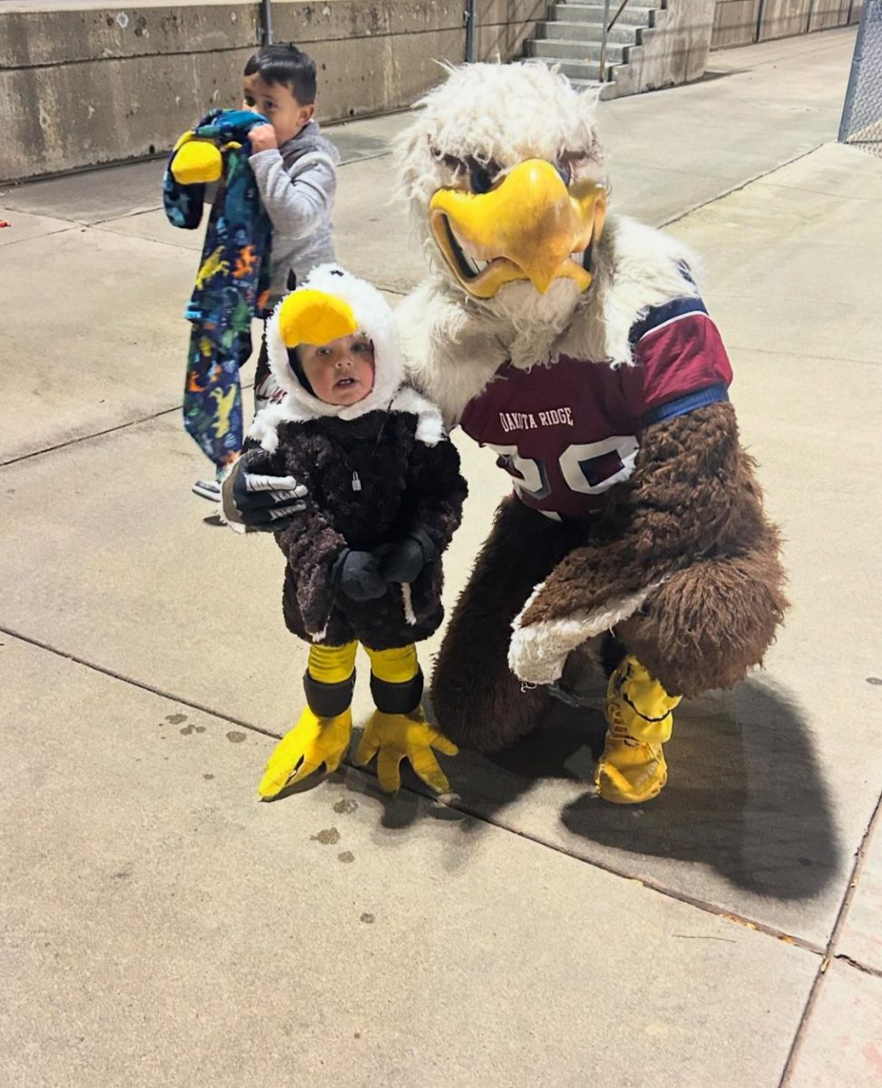 Swoop supports young eaglets on Wednesday, Oct, 30, 2024.